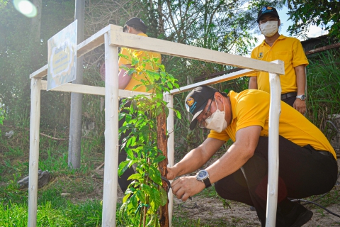 ไฟล์แนบ สาขาบ้านฉาง จัดกิจกกรม กปภ.ปลูกป่าเพื่อแผ่นดิน เทิดพระเกียรติ ในหลวง ร.9 
