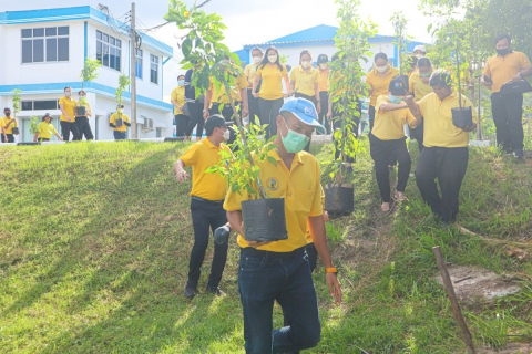 ไฟล์แนบ สาขาบ้านฉาง จัดกิจกกรม กปภ.ปลูกป่าเพื่อแผ่นดิน เทิดพระเกียรติ ในหลวง ร.9 