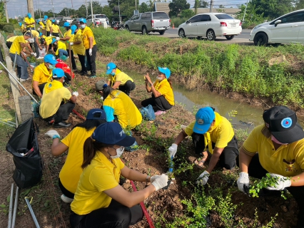 ไฟล์แนบ การประปาส่วนภูมิภาคสาขาโชคชัยร่วมกิจกรรมจิตอาสาเนื่องในวันพ่อแห่งชาติ