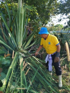 ไฟล์แนบ การประปาส่วนภูมิภาคสาขาหนองบัวแดง ร่วมจัดกิจกรรม Big Cleaning Day วันที่ 30 พฤศจิกายน 2565 