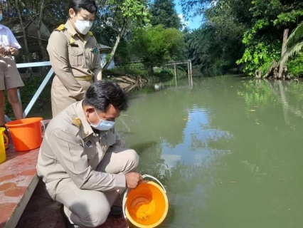 ไฟล์แนบ  การประปาส่วนภูมิภาคสาขาอ่าวลึก เข้าร่วมกิจกรรมบำเพ็ญกุศลเพื่อถวายพระพรแด่สมเด็จพระเจ้าลูกเธอ เจ้าฟ้าพัชรกิติยาภา นเรนทิราเทพยวดี กรมหลวงราชสาริณีสิริพัชร มหาวัชรราชธิดา ให้หายจากอาการประชวร 