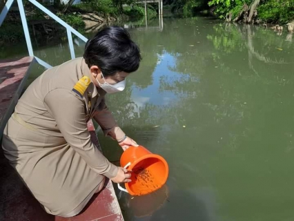 ไฟล์แนบ  การประปาส่วนภูมิภาคสาขาอ่าวลึก เข้าร่วมกิจกรรมบำเพ็ญกุศลเพื่อถวายพระพรแด่สมเด็จพระเจ้าลูกเธอ เจ้าฟ้าพัชรกิติยาภา นเรนทิราเทพยวดี กรมหลวงราชสาริณีสิริพัชร มหาวัชรราชธิดา ให้หายจากอาการประชวร 