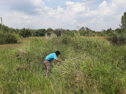 ไฟล์แนบ กปภ. สาขาปราณบุรี ลงพื้นที่ค้นหาท่อแตกรั่ว (ALC) พร้อมตรวจสอบแรงดันน้ำ บริเวณพื้นบ้านห้วยแสลงพันธ์ ต.เขาน้อย อ.ปราณบุรี จ.ประจวบคีรีขันธ์ เพื่อแก้ไขปัญหาน้ำประปาไหลอ่อน -ไม่ไหลในพื้นที่