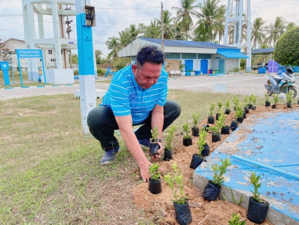 ไฟล์แนบ การประปาส่วนภูมิภาคสาขากุยบุรีร่วมกันปลูกต้นไม้ เพื่อปรับภูมิทัศน์ สร้างความสวยงามร่มรื่นแก่องค์กร