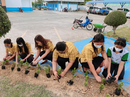 ไฟล์แนบ การประปาส่วนภูมิภาคสาขากุยบุรีร่วมกันปลูกต้นไม้ เพื่อปรับภูมิทัศน์ สร้างความสวยงามร่มรื่นแก่องค์กร