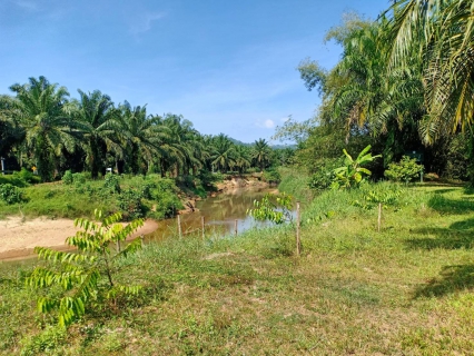 ไฟล์แนบ กปภ.สาขาตะกั่วป่า สำรวจแหล่งน้ำสำรองใหม่ เตรียมความพร้อมตามแผนรับมือภัยแล้ง