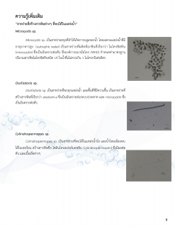 ไฟล์แนบ กปภ.สาขาธัญบุรี รายงานความเชื่อมั่นคุณภาพน้ำประปา ประจำปีงบประมาณ 2565