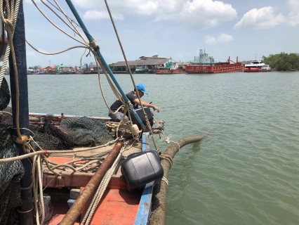 ไฟล์แนบ การประปาส่วนภูมิภาคสาขากาญจนดิษฐ์ดำเนินการติดตั้งทุ่นถ่วงท่อในคลองดอนสัก เพื่อผู้ใช้น้ำบ้านฝ่ายท่า ดอนสัก อำเภอดอนสัก จังหวัดสุราษฎร์ธานี