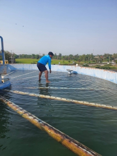 ไฟล์แนบ กปภ.สาขาอู่ทอง ล้างถังตกตะกอน ประจำเดือน มีนาคม 2566 ณ สถานีผลิตน้ำแม่ข่ายอู่ทอง และสถานีผลิตน้ำกระจัน