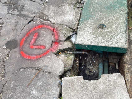 ไฟล์แนบ กปภ.สาขาสงขลา ลงพื้นที่สำรวจหาน้ำสูญเสียเชิงรุก (ALC) ในพื้นที่ ม.3 , ม. 4 และ ม.5 ต.หัวเขา อ.สิงหนคร จ.สงขลา 