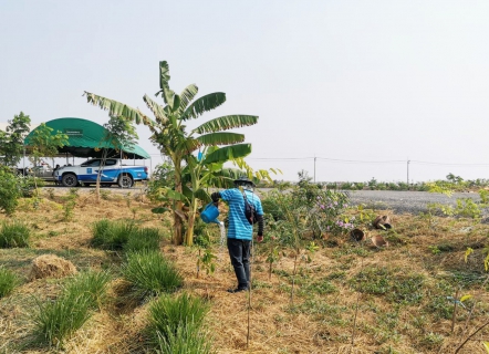 ไฟล์แนบ กปภ.สาขาธัญบุรี ร่วมกิจกรรม โครงการ โคก หนอง นา สัปปายะและรมณียสถาน สถานปฏิบัติธรรมสมเด็จพระสังฆราช (อมฺพรมหาเถร)