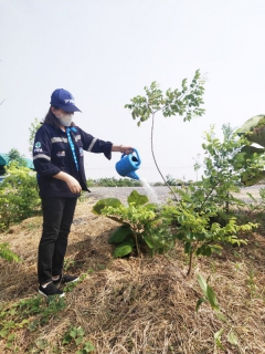 ไฟล์แนบ กปภ.สาขาธัญบุรี ร่วมกิจกรรม โครงการ โคก หนอง นา สัปปายะและรมณียสถาน สถานปฏิบัติธรรมสมเด็จพระสังฆราช (อมฺพรมหาเถร)