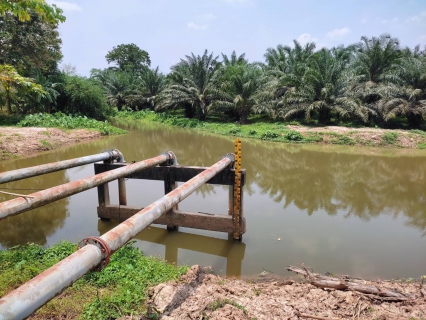 ไฟล์แนบ การประปาส่วนภูมิภาคสาขาคลองท่อมได้ลงพื้นที่​ติดตามสถานการณ์น้ำ บริเวณคลองสินปุน หน่วยบริการลำทับ ตำบลลำทับ อำเภอลำทับ