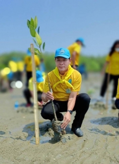 ไฟล์แนบ การประปาส่วนภูมิภาคสาขาปากน้ำประแสร์ ร่วมกิจกรรมจิตอาสาปลูกป่าชายเลน