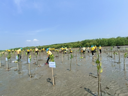 ไฟล์แนบ การประปาส่วนภูมิภาคสาขาปากน้ำประแสร์ ร่วมกิจกรรมจิตอาสาปลูกป่าชายเลน