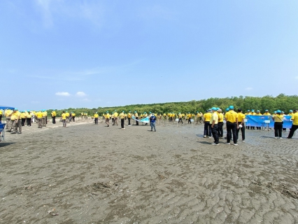 ไฟล์แนบ การประปาส่วนภูมิภาคสาขาปากน้ำประแสร์ ร่วมกิจกรรมจิตอาสาปลูกป่าชายเลน