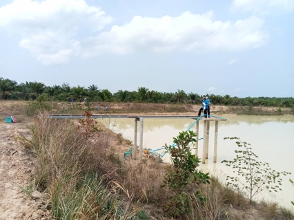 ไฟล์แนบ การประปาส่วนภูมิภาคสาขากาญจนดิษฐ์ ร่วมกับ งานควบคุมคุณภาพน้ำ 1 กองระบบผลิตและควบคุมคุณภาพน้ำ กปภ.เขต 4 ดำเนินการตรวจสอบคุณภาพน้ำในสระเก็บน้ำสำรอง ของเรือนจำกลางจังหวัดสุราษฎร์ธานี ตำบลพลายวาส อำเภอกาญจนดิษฐ์