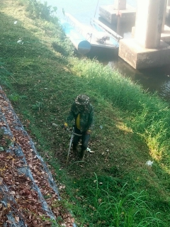 ไฟล์แนบ กปภ.สาขากาญจนบุรี จัดกิจกรรม 5 ส. "สะสาง สะดวก สะอาด สุขลักษณะและสร้างนิสัย" 