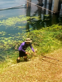 ไฟล์แนบ กปภ.สาขากาญจนบุรี จัดกิจกรรม 5 ส. "สะสาง สะดวก สะอาด สุขลักษณะและสร้างนิสัย" 