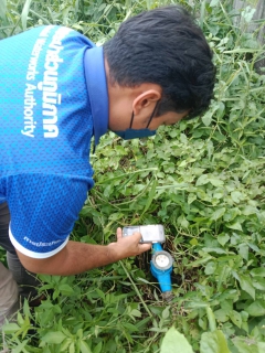 ไฟล์แนบ กปภ.สาขาบ้านตาขุน ลงพื้นที่สุ่มมาตรวัดน้ำของลูกค้า ตรวจสอบมาตรและรายงานมาตร 0 หน่วย