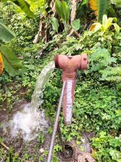 ไฟล์แนบ การประปาส่วนภูมิภาค สาขากาญจนดิษฐ์ ลงพื้นที่ ทำความสะอาด ระบายตะกอนในเส้นท่อจ่ายน้ำ ผ่านหัวดับเพลิงและท่อหน้ามาตรประจำเดือน เมษายน 2566