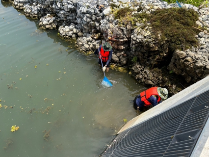 ไฟล์แนบ กปภ.สาขาท่ามะกา ทำกิจกรรม 5 ส. ภายในพื้นที่บริเวณ สถานีสูบน้ำดิบเขื่อนทดน้ำแม่กลอง ปรับภูมิทัศน์และทำความสะอาด เพื่อสร้างภาพลักษณ์ที่ดีของหน่วยงาน 