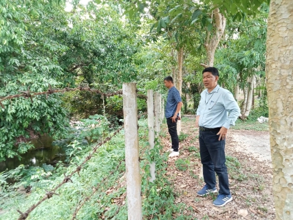 ไฟล์แนบ การประปาส่วนภูมิภาคสาขากาญจนดิษฐ์ ดำเนินการสำรวจปริมาณน้ำดิบและตรวจสอบปริมาณน้ำดิบ เฝ้าระวังภัยแล้ง แล้งนี้ต้องผ่านไปได้