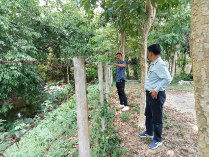 ไฟล์แนบ การประปาส่วนภูมิภาคสาขากาญจนดิษฐ์ ดำเนินการสำรวจปริมาณน้ำดิบและตรวจสอบปริมาณน้ำดิบ เฝ้าระวังภัยแล้ง แล้งนี้ต้องผ่านไปได้