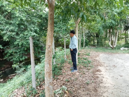 ไฟล์แนบ การประปาส่วนภูมิภาคสาขากาญจนดิษฐ์ ดำเนินการสำรวจปริมาณน้ำดิบและตรวจสอบปริมาณน้ำดิบ เฝ้าระวังภัยแล้ง แล้งนี้ต้องผ่านไปได้