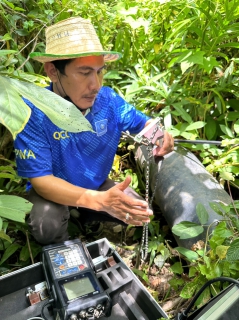 ไฟล์แนบ การประปาส่วนภูมิภาคสาขาชุมพร เร่งแก้ไขปัญหาน้ำไหลอ่อน บริเวณแยกปฐมพรและตำบลขุนกระทิง