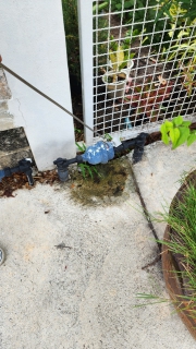 ไฟล์แนบ กปภ.สาขาอ้อมน้อย ลงพื้นที่ทำกิจกรรมลดน้ำสูญเสียเชิงรุก (ALC) 