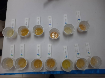 ไฟล์แนบ การประปาส่วนภูมิภาคสาขากระบี่ สุ่มตรวจสารเสพติดในพนักงานและลูกจ้างภายใต้โครงการโรงงานสีขาว