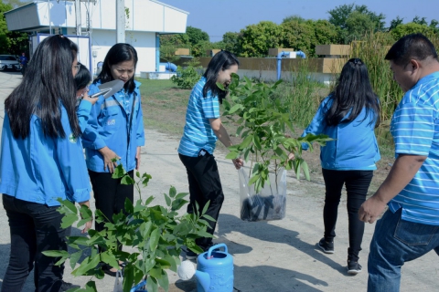ไฟล์แนบ กปภ.สาขารังสิต(พ) ร่วมจัดกิจกรรมปลูกต้นไม้ ภายใต้ชื่อ "วันต้นไม้ประจำปีของชาติ พ.ศ. 2566"  