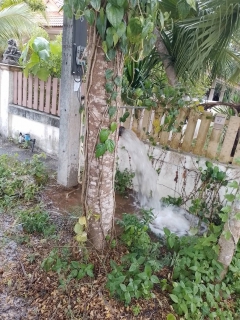 ไฟล์แนบ โบล์วน้ำระบายตะกอนในเส้นท่อจำหน่ายน้ำ