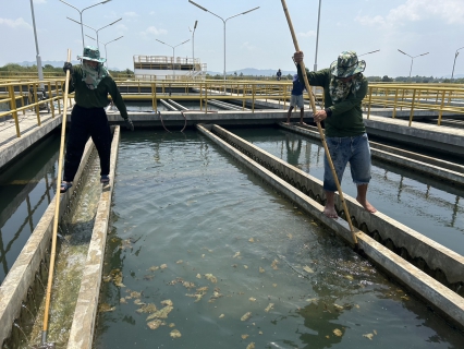 ไฟล์แนบ กปภ.สาขาท่ามะกา ดำเนินการล้างถังตกตะกอน ตามแนวทางการดำเนินการโครงการจัดการน้ำสะอาด (WSP) ประจำเดือนพฤษภาคม 2566 วันที่ 20 และ 21 พฤษภาคม 2566