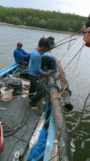 ไฟล์แนบ การประปาส่วนภูมิภาคสาขากาญจนดิษฐ์ดำเนินการซ่อมท่อในคลองดอนสัก เพื่อผู้ใช้น้ำบ้านฝ่ายท่า ดอนสัก อำเภอดอนสัก จังหวัดสุราษฎร์ธานี