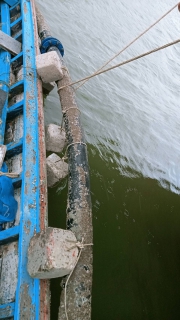 ไฟล์แนบ การประปาส่วนภูมิภาคสาขากาญจนดิษฐ์ดำเนินการซ่อมท่อในคลองดอนสัก เพื่อผู้ใช้น้ำบ้านฝ่ายท่า ดอนสัก อำเภอดอนสัก จังหวัดสุราษฎร์ธานี