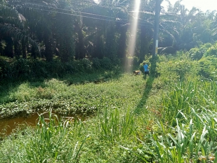 ไฟล์แนบ การประปาส่วนภูมิภาคสาขากาญจนดิษฐ์ ลงพื้นที่สำรวจ หาท่อแตกท่อรั่วท่อส่งน้ำขนาด 700 มิลลิเมตร ตั้งแต่สถานีจ่ายน้ำพลายวาส ไปยังสามแยกบ้านใน สถานีผลิตน้ำบ้านใน 