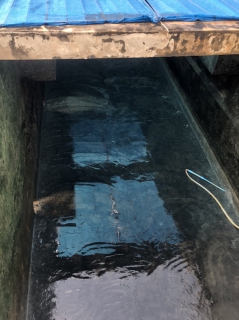 ไฟล์แนบ กปภ.สาขาอู่ทอง ล้างถังตกตะกอนประจำเดือน พฤษภาคม 2566 ณ สถานีผลิตน้ำสระยายโสม สถานีผลิตน้ำแม่ข่ายอู่ทอง และสถานีผลิตน้ำพนมทวน