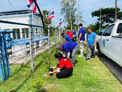 ไฟล์แนบ การประปาส่วนภูมิภาค สาขาระโนด  จัดกิจกรรมวันป่าชุมชน ปลูกป่าเพื่อแผ่นดิน เทิดพระเกียรติในหลวงรัชกาลที่ 9 เนื่องในวันป่าชุมชนแห่งชาติ ประจำปี พ.ศ. 2566