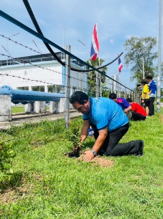 ไฟล์แนบ การประปาส่วนภูมิภาค สาขาระโนด  จัดกิจกรรมวันป่าชุมชน ปลูกป่าเพื่อแผ่นดิน เทิดพระเกียรติในหลวงรัชกาลที่ 9 เนื่องในวันป่าชุมชนแห่งชาติ ประจำปี พ.ศ. 2566