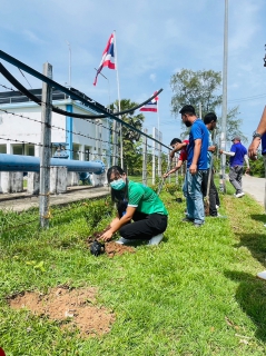 ไฟล์แนบ การประปาส่วนภูมิภาค สาขาระโนด  จัดกิจกรรมวันป่าชุมชน ปลูกป่าเพื่อแผ่นดิน เทิดพระเกียรติในหลวงรัชกาลที่ 9 เนื่องในวันป่าชุมชนแห่งชาติ ประจำปี พ.ศ. 2566
