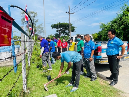 ไฟล์แนบ การประปาส่วนภูมิภาค สาขาระโนด  จัดกิจกรรมวันป่าชุมชน ปลูกป่าเพื่อแผ่นดิน เทิดพระเกียรติในหลวงรัชกาลที่ 9 เนื่องในวันป่าชุมชนแห่งชาติ ประจำปี พ.ศ. 2566