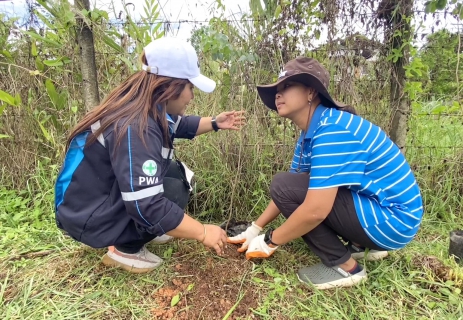 ไฟล์แนบ กปภ.สาขาขลุง จัดกิจกรรมปลูกป่าเพื่อแผ่นดินเทิดพระเกียรติพระบาทสมเด็จพระบรมชนกาธิเบศรมหาภูมิพล อดุลยเดชมหาราช บรมนาถบพิตร (Father's Land) ปี 2566 และกิจกรรมวันต้นไม้ประจำปีของชาติ