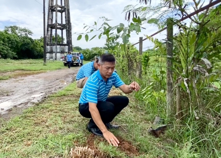 ไฟล์แนบ กปภ.สาขาขลุง จัดกิจกรรมปลูกป่าเพื่อแผ่นดินเทิดพระเกียรติพระบาทสมเด็จพระบรมชนกาธิเบศรมหาภูมิพล อดุลยเดชมหาราช บรมนาถบพิตร (Father's Land) ปี 2566 และกิจกรรมวันต้นไม้ประจำปีของชาติ