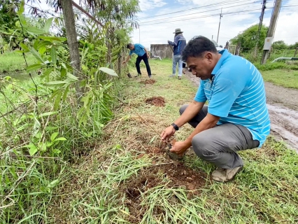 ไฟล์แนบ กปภ.สาขาขลุง จัดกิจกรรมปลูกป่าเพื่อแผ่นดินเทิดพระเกียรติพระบาทสมเด็จพระบรมชนกาธิเบศรมหาภูมิพล อดุลยเดชมหาราช บรมนาถบพิตร (Father's Land) ปี 2566 และกิจกรรมวันต้นไม้ประจำปีของชาติ
