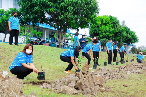 ไฟล์แนบ กปภ.สาขาประจวบคีรีขันธ์ จัดกิจกรรมปลูกต้นไม้ในบริเวณสำนักงาน เนื่องในวันป่าชุมชนแห่งชาติ