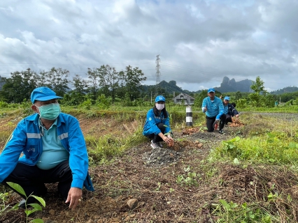 ไฟล์แนบ กปภ.สาขาพังงา จัดกิจกรรมโครงการ กปภ.ปลูกป่าเพื่อแผ่นดิน เทิดพระเกียรติพระบาทสมเด็จพระบรมชนกาธิเบศร มหาภูมิพลอดุลยเดชมหาราช บรมนาถบพิตร (Fathers Land) 