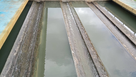 ไฟล์แนบ การประปาส่วนภูมิภาคสาขาคลองท่อมดำเนินการล้างถังตกตะกอน โรงกรองน้ำคลองท่อม 