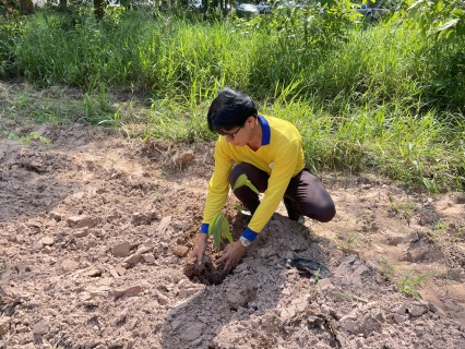 ไฟล์แนบ กิจกรรมจิตอาสาพัฒนาในโอกาสวันสำคัญของชาติไทย เนื่องในวันพระราชสมภพ สมเด็จพระนางเจ้าสุทิดา พัชรสุธาพิมลลักษณ พระบรมราชินี 3 มิถุนายน 2566